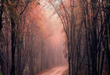 岳池新增1例无症状感染者  岳池县疫情防控最新通报_37669