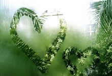 31省新增本土12例，九江疫情最新消息