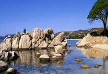 2022年8月12日鄯善县新增确诊病例情况_57121